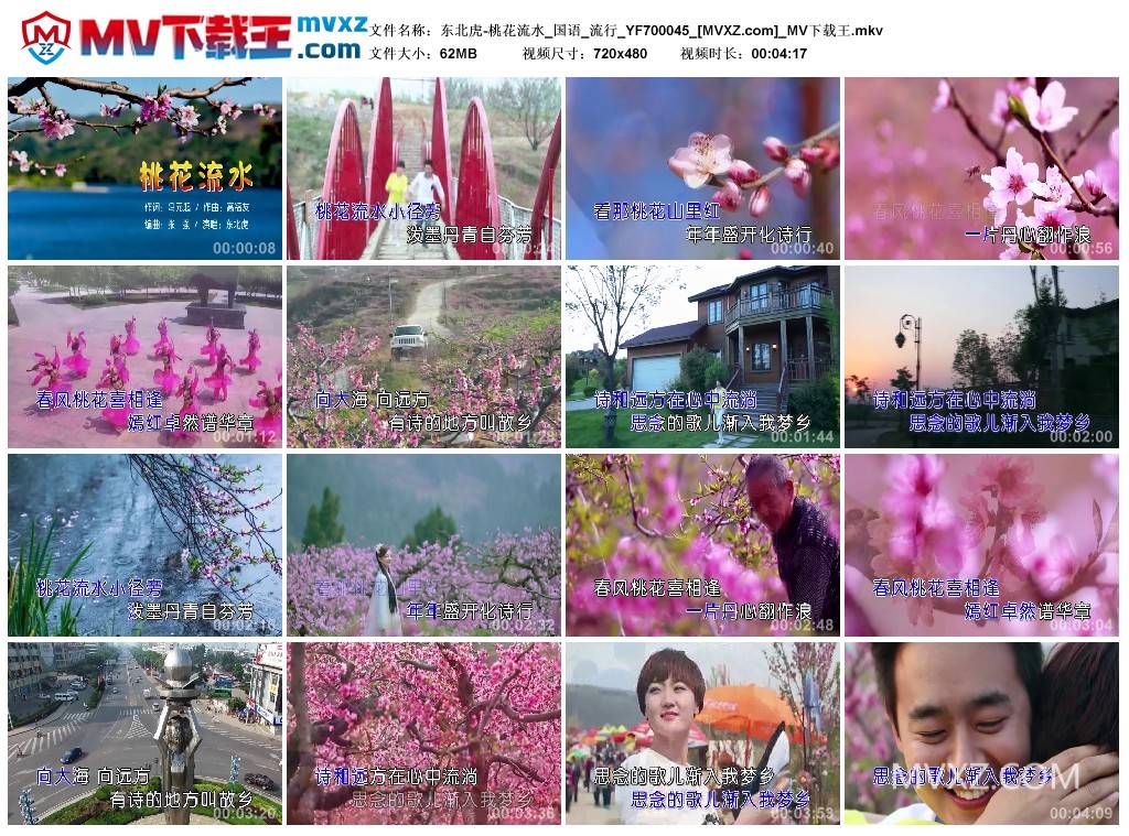 东北虎-桃花流水_国语_流行_YF700045